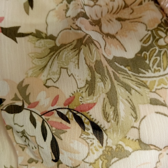 Rose Velvet Floral Dress - Picture 8 of 10